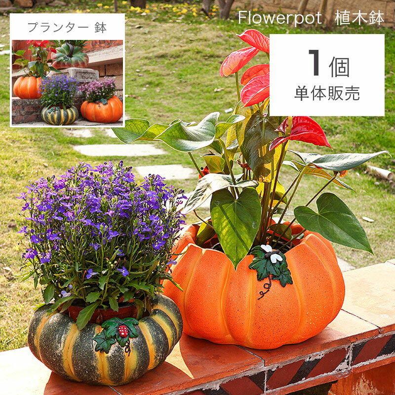 Rakuten - 植木鉢 ガーデニングオブジェ ガーデンデコレーション ガーデニングオブジェ 鉢植え 可愛い多肉植物用鉢 室内植物用可愛い鉢 鉢植え プレゼント用ユニークな植木鉢 送料無料