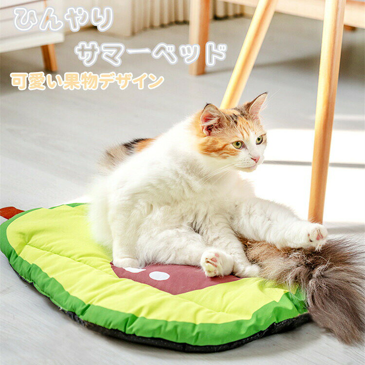 ペットベッド クール 夏 ひんやり 接触冷感 ペット用クッション 犬猫兼用おふとん 犬猫用ベッド ざぶとん 敷布団 犬用 猫用 ひんやりサマーベッド 介護 寝具 かわいい 四季適用 おしゃれ 寝床 敷きパッド ペット用品 お昼寝 果物 スイカ プレゼント 暑さ対策 rooty-10002225 Rooty楽天市場店 サンプル画像2