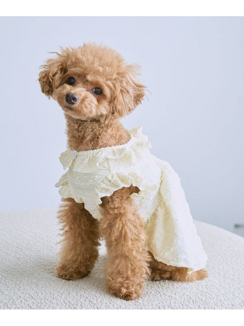 【SALE／60%OFF】【DOG】フリルワンピース ROPE' PICNIC PASSAGE ロペピクニック ペット用品 ペットウェア・ペット服 ホワイト【RBA_E】[Rakuten Fashion] ropepicnic-10024223 ROPE PICNIC/ロペピクニック サンプル画像3