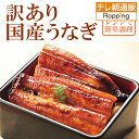 訳あり!国産うなぎの長蒲焼き600g 鹿児島県産 規格外 本格的な味 レンジ 湯せん 簡単 テレビ朝日 テレ朝通販 ロッピング