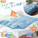 ハンガリー産ホワイトダックダウン85% 洗える高級羽毛肌掛け布団 セミダブル お買い得 軽い テレビ朝日 テレ朝通販 ロッピング