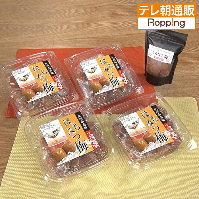 紀州南高梅はちみつ梅干し 特別セット ニッポンめしあがれ テレビ朝日 テレ朝通販 ロッピング みなべ町 小谷農園 ポリフェノール クエン酸 カリウム