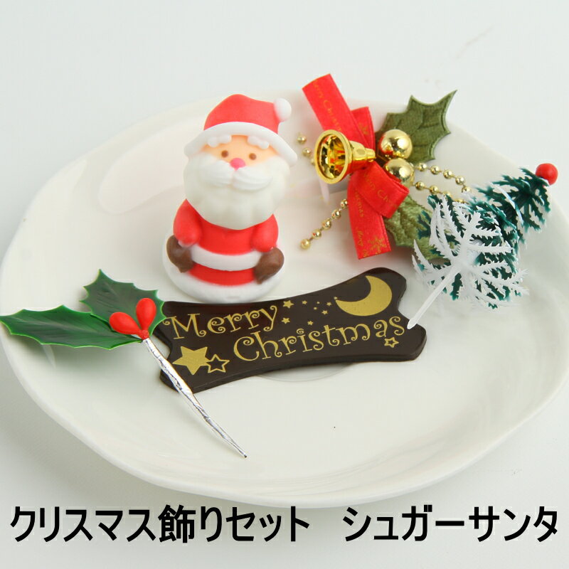 クリスマスケーキキット 飾り キット シュガー人形 サンタクロース　手づくり