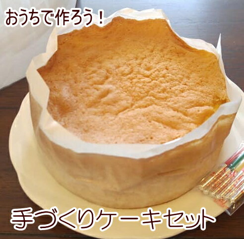 おうちで作ろう！手作り デコレーションケーキセット スポンジ 生クリーム 絞り袋 バースデーケーキ 巣ごもり おうち時間 おうち遊び 子供　手づくり　母の日