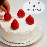 【送料無料】おうちで作ろう！手作りデコレーションケーキセットスポンジ生クリーム絞り袋バースデーケーキ