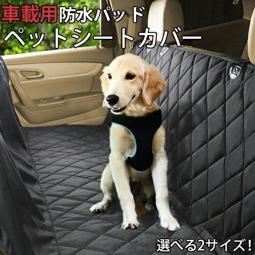 車 クッション 後部座席が何故ヤバいのか
