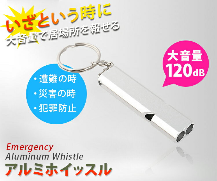 無料名入れ 刻印　アルミホイッスル ネックストラップ付 緊急用ホイッスル 防災グッズ 120db 名入れ 刻印 遭難 ホイッスル ホイッスル 遭難用品 笛 防犯グッズ 警報・防犯ブザー 登山 防犯 防災 キーリング 防水 キーホルダー 2