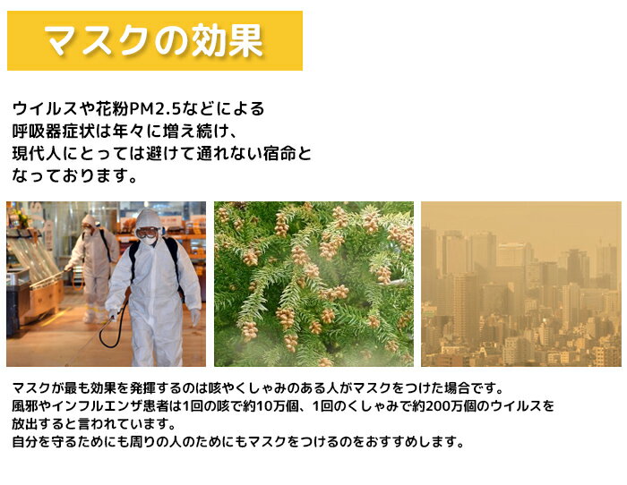 在庫あり 不織布マスク 白 3層構造 フェイスマスク(PM2.5対応) マスク10枚 大人用サイズ 立体設計 ウイルス対策 花粉症対策 花粉 インフルエンザ 風邪 マスク ウィルス対策 使い捨て 大人用 白 ホワイト roryXtyle　楽天　マスク　在庫あり