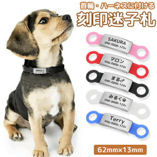 迷子札 ペットIDタグ 犬 猫 【名入れ無料】シリコンゴム付き 小型犬 ステンレス ペットネームタグ 首輪 ハーネス 名前 タグ 防止 名入れ ネーム入れ オリジナル イヌ お名前＆電話番号刻印 飼…