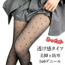【アウトレット祭り最大70%OFF】 160デニール 透け感 XS?S フェイクタイツ ストッキング レギンス 冬用ストッキング 秋用 冬用 温かい 厚いタイツ 美脚 防寒 寒さ対策 足元コーディ レディース roryxtyle【在庫限り】(4)