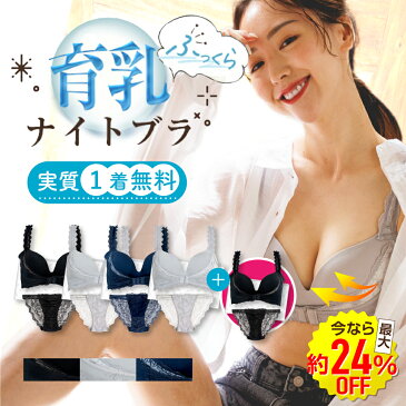 【1,000円クーポン配布中】 育乳 ナイトブラ 4枚ショーツ+1枚無料プレゼント 公式 ROSABLU ロザブルー 脇高 美胸 バストアップ バストケア 盛れる カップ一体 ノンワイヤー 大きいサイズ グラマーサイズ 産後 谷間 昼夜兼用 授乳ブラ 育乳ブラ 谷間 補正 下着 横流れ