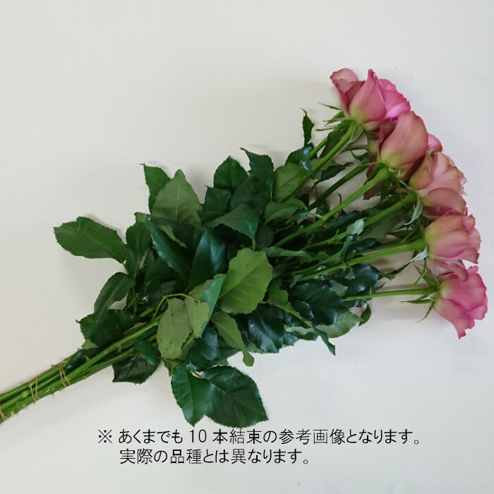 ���ʼ��̾����ۡ�������������ʼ�ΥХ�֥����ˡ���+�ס�����ľ��������ΥХ顡����ƥꥢ���뺧��ǰ������10��ñ�̡��ʼ��̾���͵��ʼ����ƥ��������顼��������졡�˥奢�󥹥��顼��������