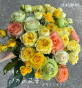 ỏԑ@@@j@ԑ@o@Yn@ỏԁ@F̃o@Ԍt@F@a@̍@P@Ď@6000~@r^~J[@IW@F@蕨@Cj@{[_@lCi