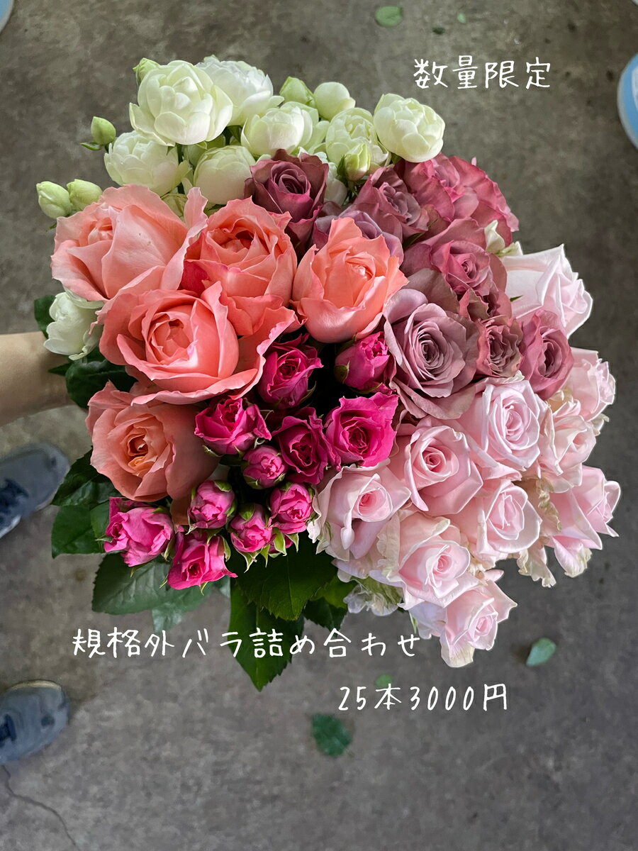 ボリュームたっぷり花束 バラの花 詰め合わせ アンティークピンク 切り花 薔薇 バラ 生花 花束 誕生日 写真撮影 動画撮影 産地直送 30本 3000円 特価 規格外 お買い得 自宅用 ボリューム