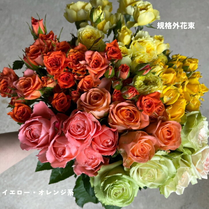 バラの花　詰め合わせ　産地直送　特価品　記念日　25本　3300円　　写真撮影　期間限定　規格外　お買..