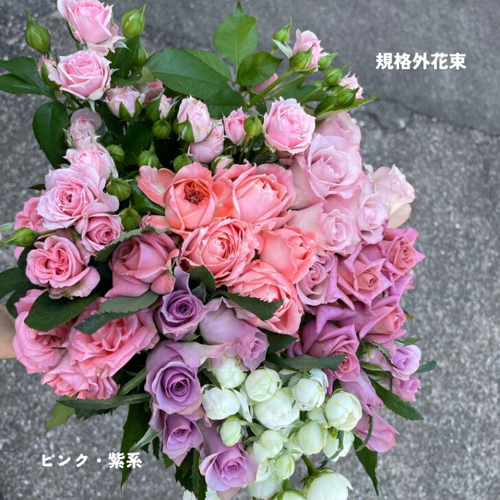 バラの花 詰め合わせ 写真撮影 動画撮影 産地直送 特価品 25本3300円 訳アリ 記念日 規格外 お買い得 ピンク 紫のバラ インテリア バラ 自分へのご褒美 プレゼント カジュアル 数量限定