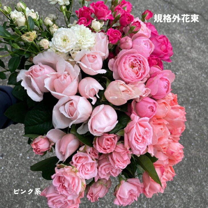 バラの花 詰め合わせ ピンクいろいろ 薔薇 生花 バラ 生花 花束 誕生日 バラの花束 特価 産地直送 25本3300円 自宅用 花 記念日 プレゼント 自分へのご褒美 インテリア 写真撮影 規格外 ピンクの花 お買い得 ドライフラワー 動画撮影 切り花