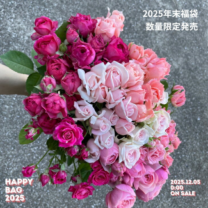 バラの花　福袋2025詰め合わせ 薔薇 バラ 花束 生花 花束 誕生日 切り花 お買い得 写真撮影 動画撮影 産地直送 25本 3000円 特価 規格外 自宅用 ボリューム