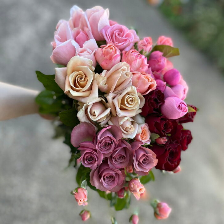 切り花 バラ 花束 薔薇 生花 花束 誕生日 バラの花 詰め合わせ アンティークピンク お買い得 写真撮影 動画撮影 産地直送 25本 3300円 特価 規格外 自宅用 ボリューム rosarium-tnk-10000013 ROSARIUM 田中バラ園楽天市場店 サンプル画像2