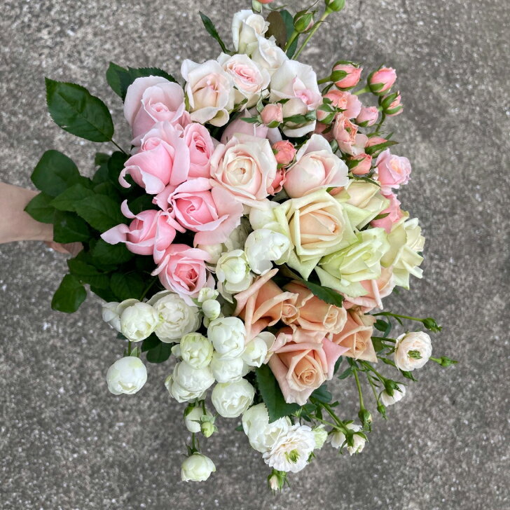 切り花 バラ 花束 薔薇 生花 花束 誕生日 バラの花 詰め合わせ アンティークピンク お買い得 写真撮影 動画撮影 産地直送 25本 3300円 特価 規格外 自宅用 ボリューム rosarium-tnk-10000013 ROSARIUM 田中バラ園楽天市場店 サンプル画像3