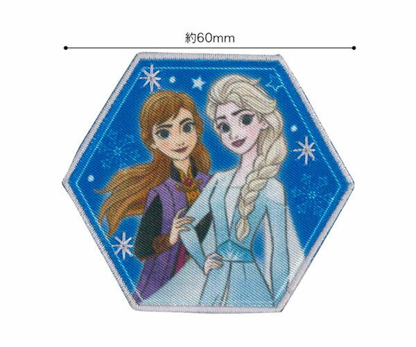 アナと雪の女王 ワッペン アップリケ アナ エルサ Disney プリンセス アイロンワッペン ワッペン アップリケ アイロン MY6501