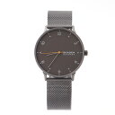 スカーゲン 腕時計 メンズ Riis チャコール SKW6884 SKAGEN