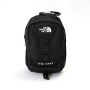 ザ・ノースフェイス ポーチ MINI BIG SHOT POUCH NN2PP13A BLK ブラック 黒 ポリエステル レディース メンズ THE NORTH FACE