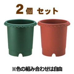 https://thumbnail.image.rakuten.co.jp/@0_mall/rose-m/cabinet/00733797/imgrc0075219202.jpg