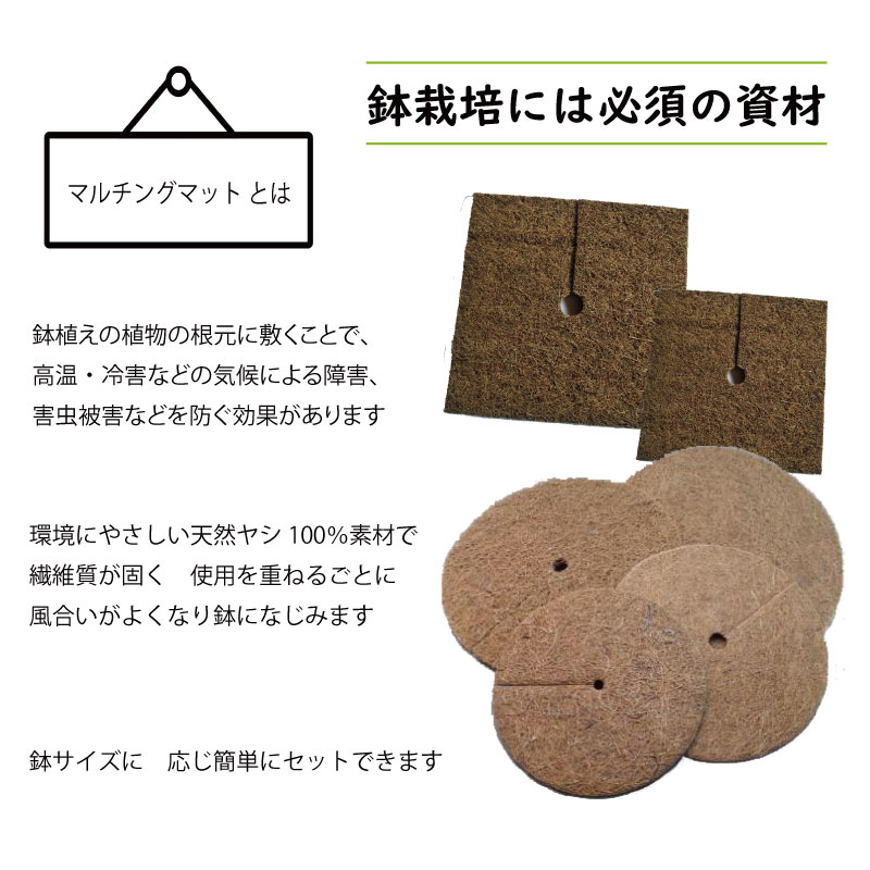 【マルチング】鉢マルチングマット丸8号φ22cmスリランカより直輸入！【泥はね/黒点...