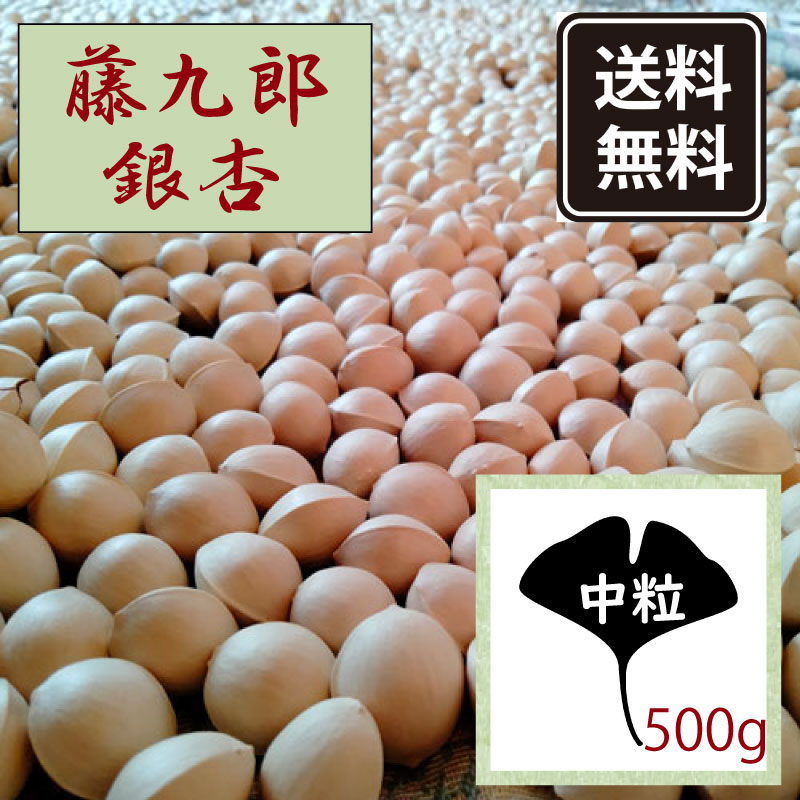 ★送料無料★2024年10月生産　殻付き生銀杏愛知県稲沢市産地直送　品種名　藤九郎【中粒（2L～3Lサイズ）内容量：約500g】クリックポストでの発送・日時指定不可