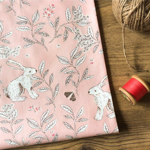 うさぎ プリント生地【10cm単位の切売り】ART GALLERY FABRICS / Cottontail Explore / USAコットン