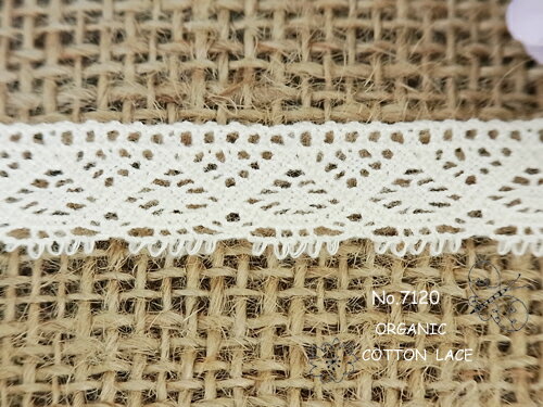 オーガニックコットントーションレース7120-17mm
