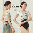 Vネット シンプル 韓国風 大人用 衣装 無地 バレエ用品 ballet用品 練習着 演出用 バレエ レオタード 大人 長袖 美ラインかわいい 春 夏 秋 お洒...