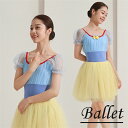 バレエ レオタード 大人用 衣装 無地 バレエ用品 ballet用品 練習着 演出用 長袖 美ラインかわいい 春 夏 秋 お洒落 ダンス服 新体操 ウェア コス...