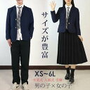 学生服 ズボン スカート 上下セット キッズ 女子 男子 女の子 男の子 子供服 スクール服 スクールブレザー フォーマル 卒業式 入園式 ..