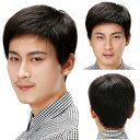 メンズウィッグ 人毛100% フル メンズかつら 人毛 お父さん 自然 普段使い 紳士用 クリアショート スタンダードブラック ビジネス用 医療用 中高年男性 ...