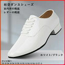 社交ダンスシューズ メンズシューズ 男性用 美脚 室内用の靴底 レザー 大きいサイズ カウハイド(4)