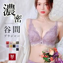 ＼クーポン利用で1,280円／ 濃密谷間 脇高 ブラジャー セット ノンワイヤーブラジャー ショーツ セット レースショー…