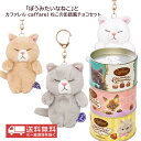 母の日「ぼうみたいなねこ」とカファレル caffarel ねこの缶詰風チョコセット バレンタイン ホワイトデー プレゼントの商品画像