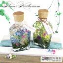 【送料無料】お花畑みたいなハーバリウム MIXカラー プレゼント ギフトデコレーション プリザーブドフラワー 花 ドライフラワー 観葉植物 インテリア オイルな...