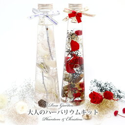 【送料無料】大人のハーバリウムキット　花材2袋 円錐ボトル200ml2本 オイル500ml1本 ピンセット1本