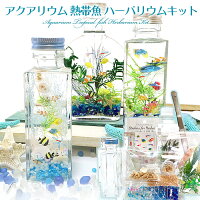 巣ごもり楽天ランキング1位獲得『アクアリウム 熱帯魚 ハーバリウムキット』水族館みたい！自由研究にも♪たっぷり3本作れるハンドメイドキット 手作り 手芸 セット ドライフラワー プリザーブドフラワー 花 貝殻 シェル 砂 フィッシュ ニモ