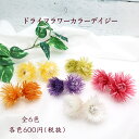 【クリックポスト対応】値下げ!ドライフラワー カラーデイジー(茎付き)