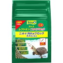(まとめ) テトラ レプトミン ニオイブロック 大粒 500g (ペット用品) 【×2セット】【代引不可】
