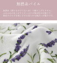 roserich:10007569のサンプル画像3