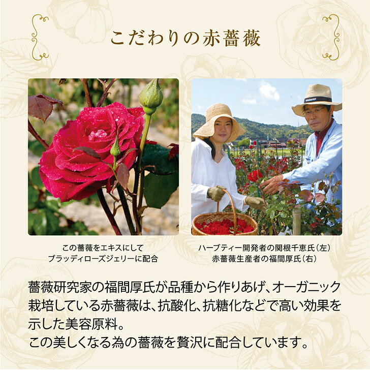 飲む美容液で全身しっとり夏に飲めば日焼けしにくく 冬に飲めば乾燥しにくく 季節の変わり目に飲めば敏感肌もしっとりケアできる 優雅な薔薇のオーガニック ティー ローズオブローズティー ハーブティー 飲む美容液 インナービューティー シワ 即納 たるみ ハリ