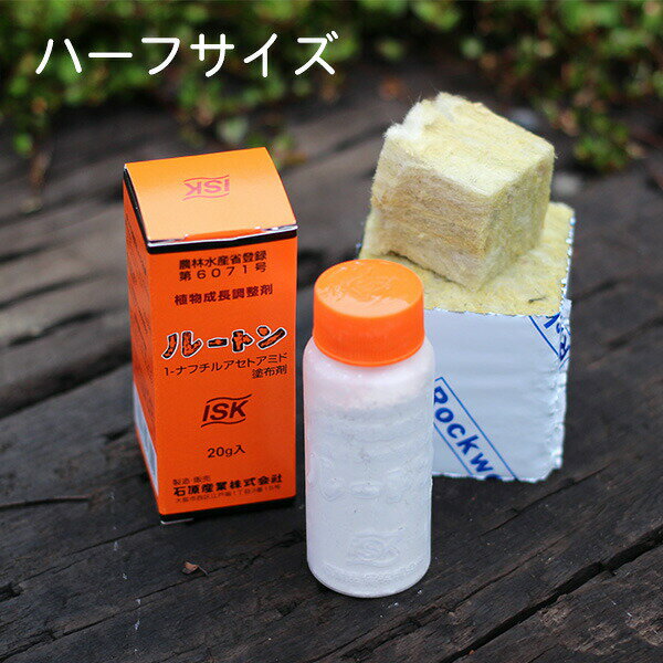 定番の中古商品 楽天市場】挿し木 セットの通販 その他