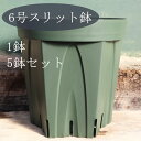 6号スリット鉢(18センチ) / 1鉢 / 5鉢セット