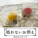 フラワーアレンジメント お悔み お供え プチプレゼント ギフト プリザーブドフラワー カワイイ キューブ 贈り物 ピンク オレンジ プチギフト イベント 喜寿 ...