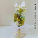 夏 お悔み花 お供え 贈り物 プリザーブドフラワー アジサイ 紫陽花 ドーム型 胡蝶蘭 お湯洗いコーヒー豆 ドリップバッグ コーヒー豆 粉